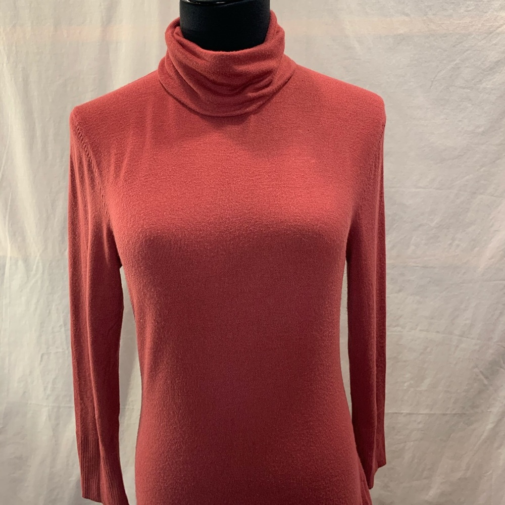 Nic + Zoe turtleneck